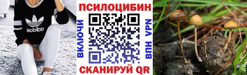 Купить  Истра  Псилоцибиновые грибы Psilocybine cubensis 