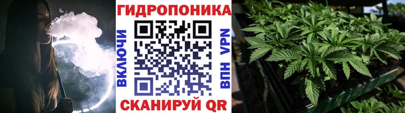 Купить где  Истра  Бошки Шишки ГИДРОПОН 